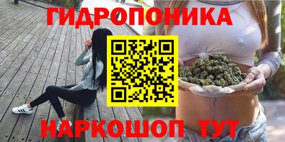 винт Тула