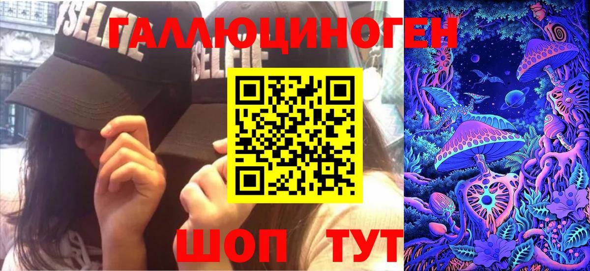 Псилоцибиновые грибы Psilocybine cubensis Муром